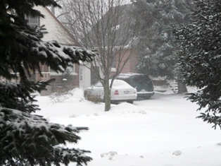 Winter snow in Kitchener