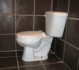Fitting a new toilet