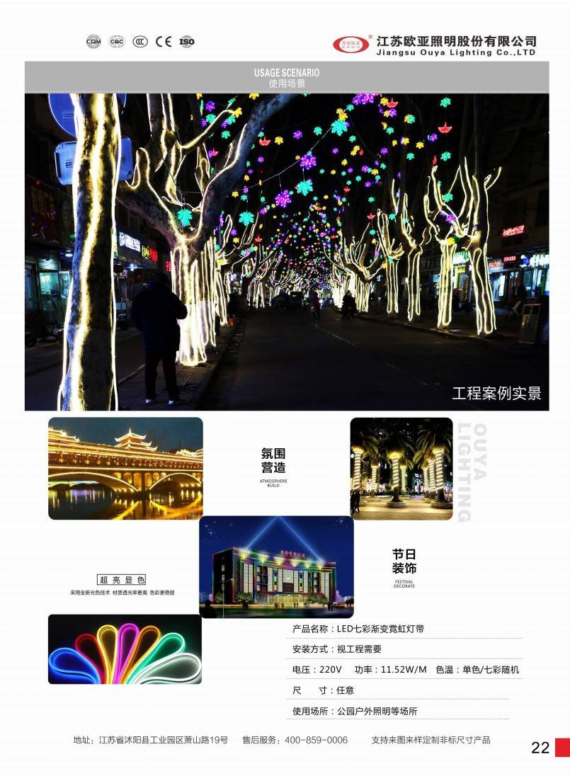 亮化工程29