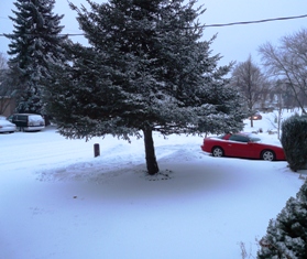 Snow in Kitchener