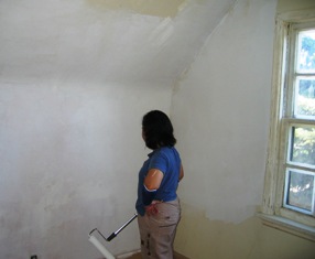 Ploy painting walls