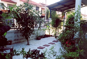 Photo of the front garden of our house in Thailand